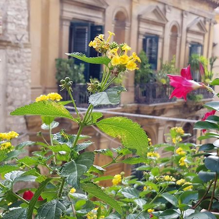 カルタニッセッタ Casa Coccinella Bed & Breakfast エクステリア 写真
